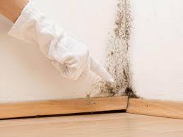 Best Mold Prevention Services in Southlake, TX